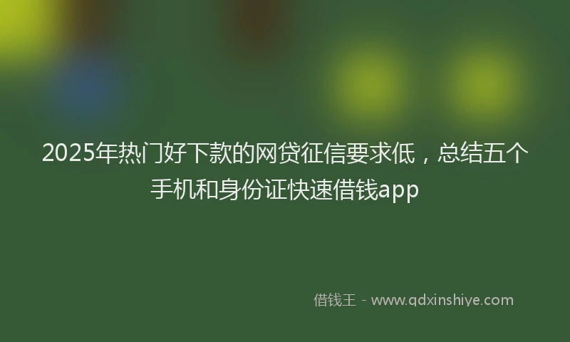2025年热门好下款的网贷征信要求低，总结五个手机和身份证快速借钱app