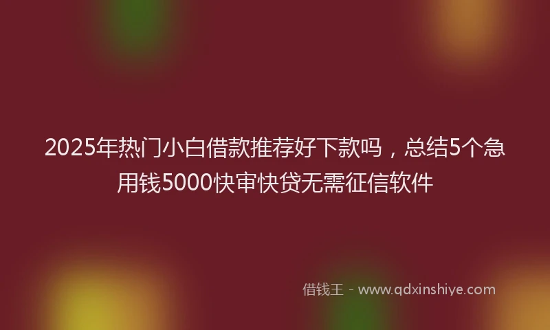 2025年热门小白借款推荐好下款吗，总结5个急用钱5000快审快贷无需征信软件