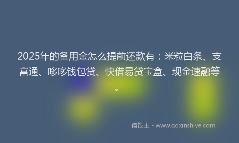 2025年的备用金怎么提前还款有：米粒白条、支富通、哆哆钱包贷、快借易贷宝盒、现金速融等。