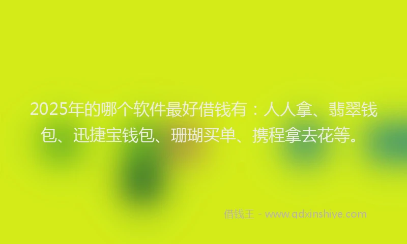 2025年的哪个软件最好借钱有：人人拿、翡翠钱包、迅捷宝钱包、珊瑚买单、携程拿去花等。