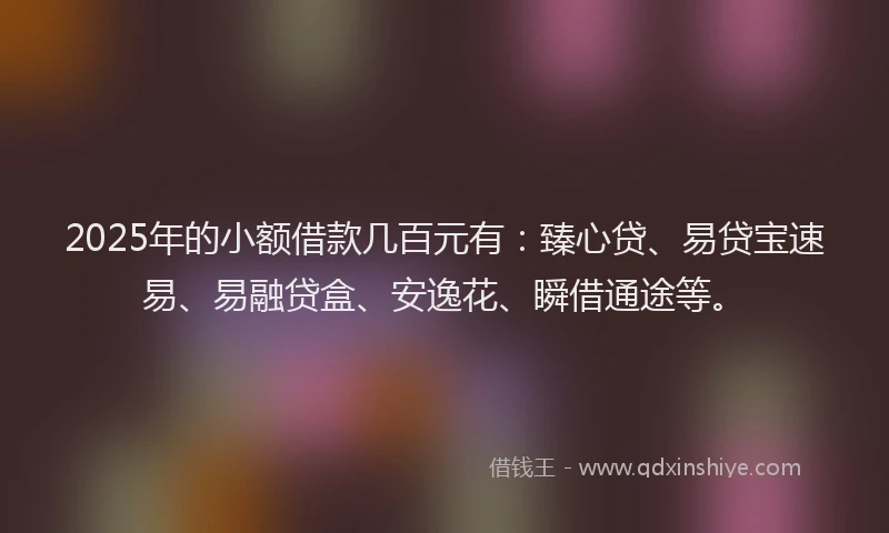 2025年的小额借款几百元有：臻心贷、易贷宝速易、易融贷盒、安逸花、瞬借通途等。