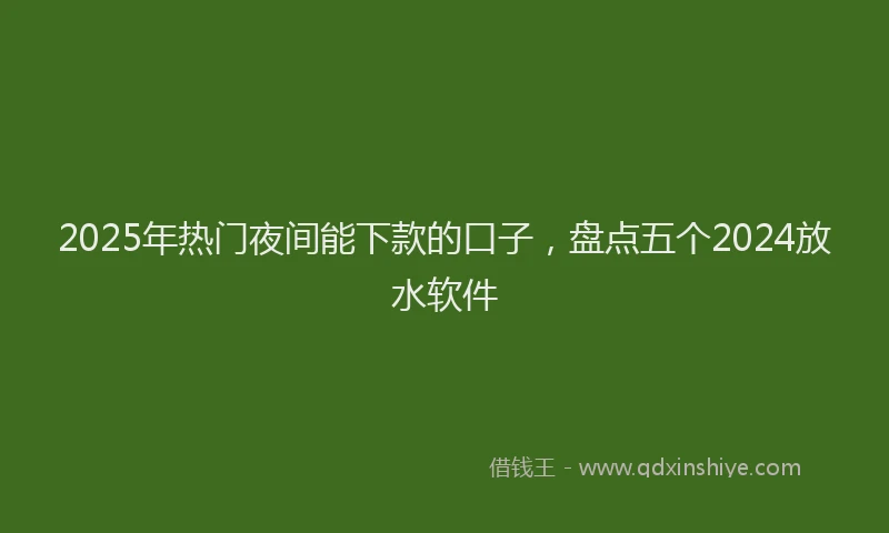 2025年热门夜间能下款的口子，盘点五个2024放水软件