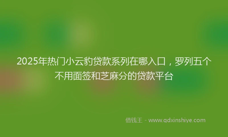 2025年热门小云豹贷款系列在哪入口，罗列五个不用面签和芝麻分的贷款平台