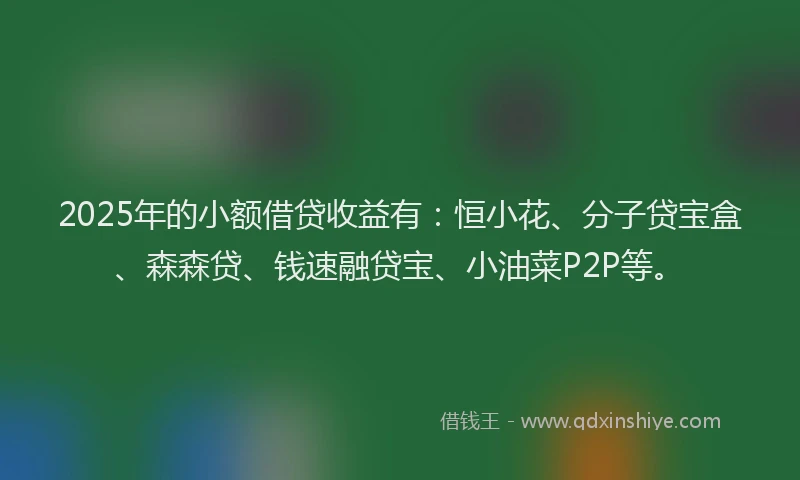 2025年的小额借贷收益有：恒小花、分子贷宝盒、森森贷、钱速融贷宝、小油菜P2P等。