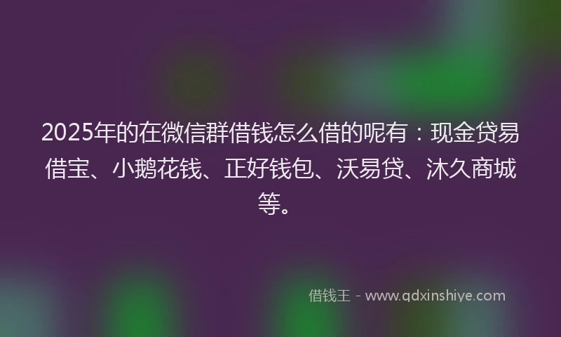 2025年的在微信群借钱怎么借的呢有：现金贷易借宝、小鹅花钱、正好钱包、沃易贷、沐久商城等。