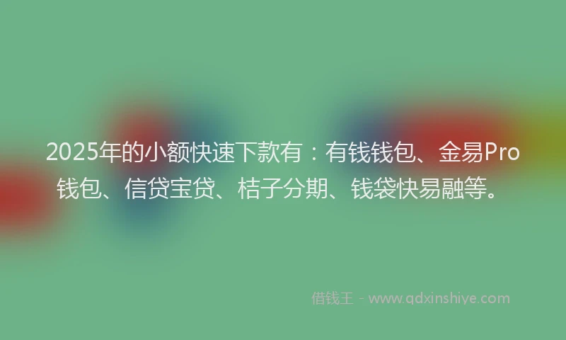2025年的小额快速下款有：有钱钱包、金易Pro钱包、信贷宝贷、桔子分期、钱袋快易融等。
