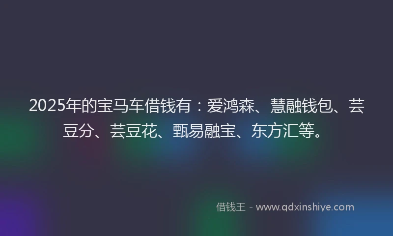 2025年的宝马车借钱有：爱鸿森、慧融钱包、芸豆分、芸豆花、甄易融宝、东方汇等。