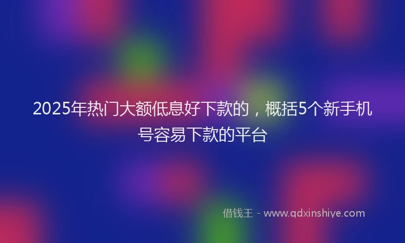 2025年热门大额低息好下款的，概括5个新手机号容易下款的平台