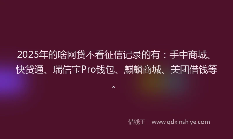 2025年的啥网贷不看征信记录的有：手中商城、快贷通、瑞信宝Pro钱包、麒麟商城、美团借钱等。
