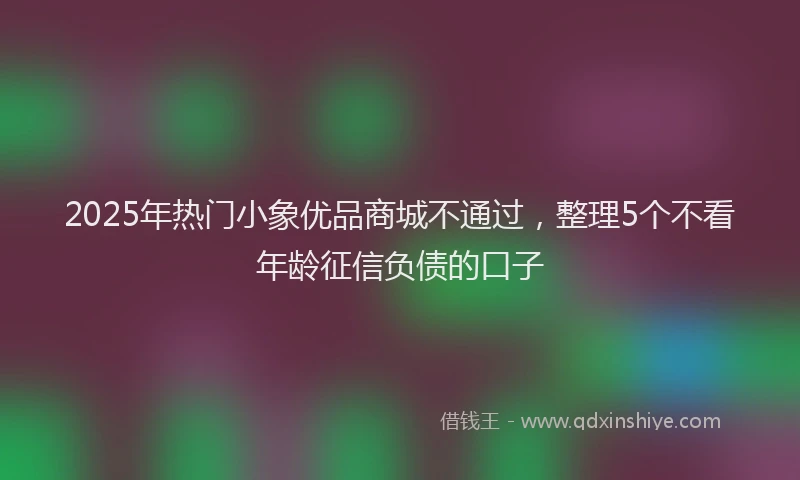 2025年热门小象优品商城不通过，整理5个不看年龄征信负债的口子