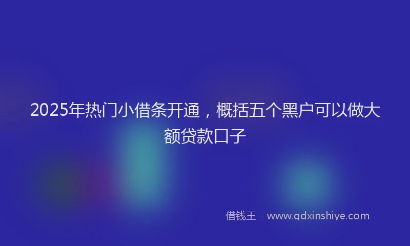 2025年热门小借条开通，概括五个黑户可以做大额贷款口子