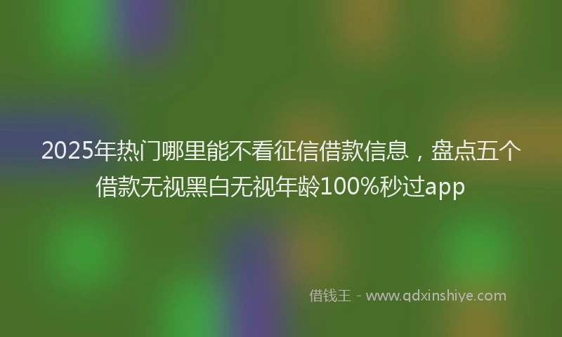 2025年热门哪里能不看征信借款信息，盘点五个借款无视黑白无视年龄100%秒过app