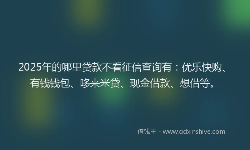 2025年的哪里贷款不看征信查询有：优乐快购、有钱钱包、哆来米贷、现金借款、想借等。