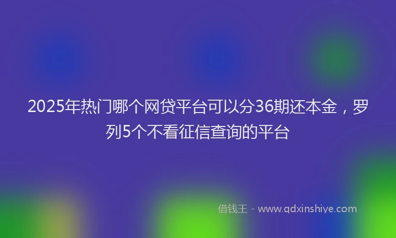 2025年热门哪个网贷平台可以分36期还本金，罗列5个不看征信查询的平台