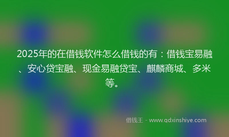 2025年的在借钱软件怎么借钱的有：借钱宝易融、安心贷宝融、现金易融贷宝、麒麟商城、多米等。