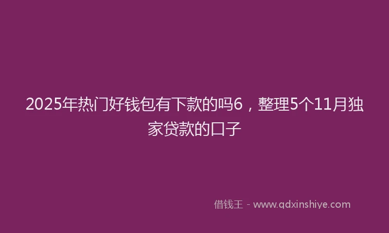 2025年热门好钱包有下款的吗6，整理5个11月独家贷款的口子