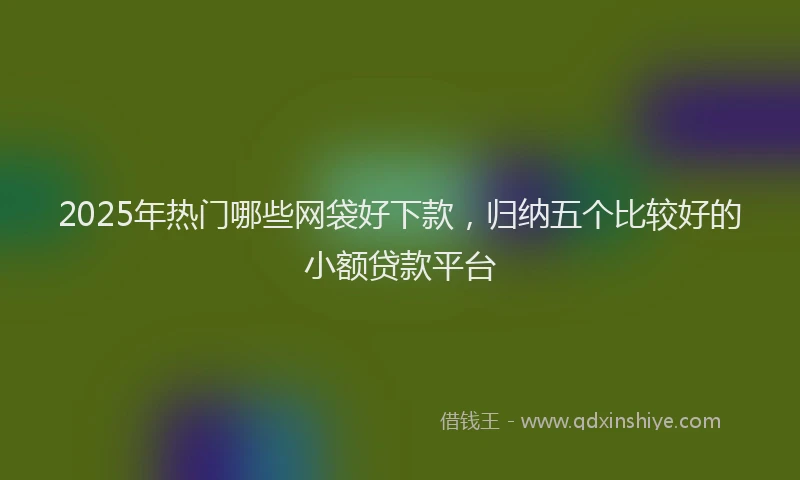 2025年热门哪些网袋好下款，归纳五个比较好的小额贷款平台
