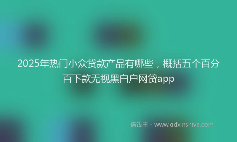 2025年热门小众贷款产品有哪些，概括五个百分百下款无视黑白户网贷app