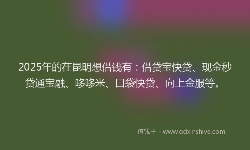 2025年的在昆明想借钱有：借贷宝快贷、现金秒贷通宝融、哆哆米、口袋快贷、向上金服等。