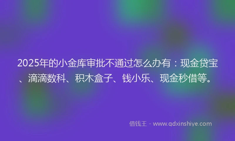 2025年的小金库审批不通过怎么办有：现金贷宝、滴滴数科、积木盒子、钱小乐、现金秒借等。