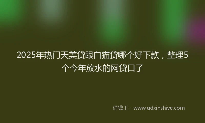 2025年热门天美贷跟白猫贷哪个好下款，整理5个今年放水的网贷口子
