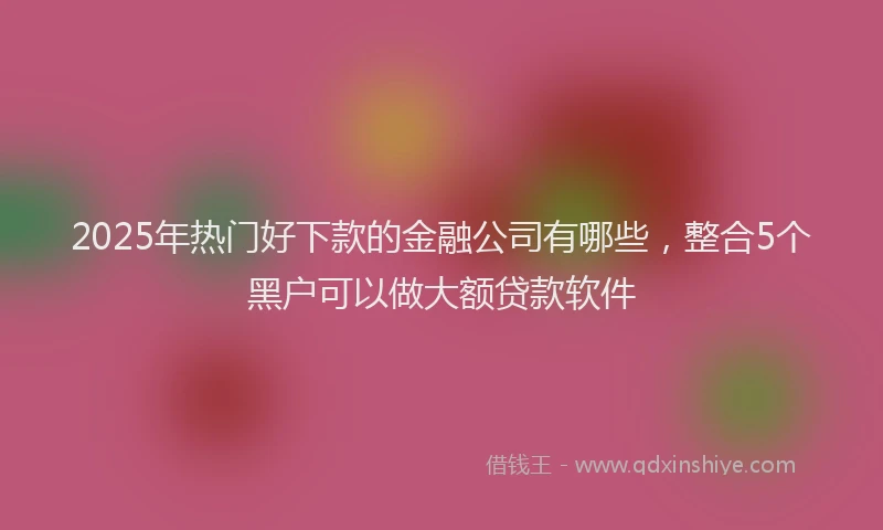 2025年热门好下款的金融公司有哪些，整合5个黑户可以做大额贷款软件