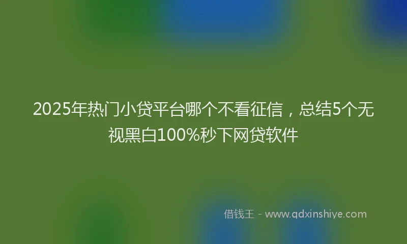 2025年热门小贷平台哪个不看征信，总结5个无视黑白100%秒下网贷软件