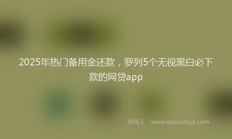 2025年热门备用金还款，罗列5个无视黑白必下款的网贷app