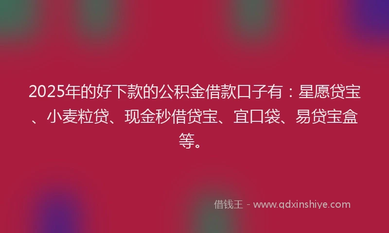 2025年的好下款的公积金借款口子有：星愿贷宝、小麦粒贷、现金秒借贷宝、宜口袋、易贷宝盒等。