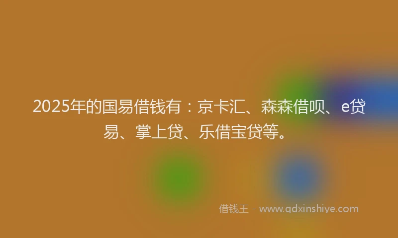 2025年的国易借钱有：京卡汇、森森借呗、e贷易、掌上贷、乐借宝贷等。