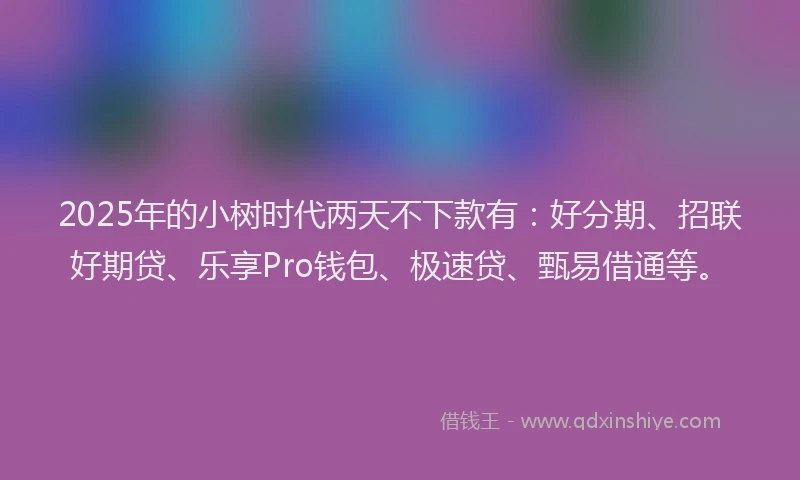 2025年的小树时代两天不下款有：好分期、招联好期贷、乐享Pro钱包、极速贷、甄易借通等。