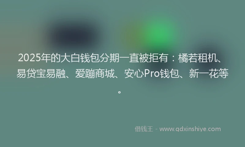 2025年的大白钱包分期一直被拒有：橘若租机、易贷宝易融、爱蹦商城、安心Pro钱包、新一花等。