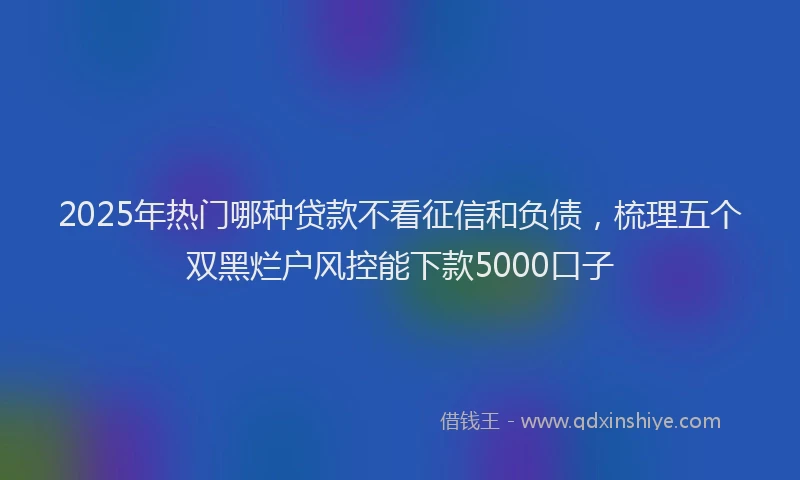 2025年热门哪种贷款不看征信和负债，梳理五个双黑烂户风控能下款5000口子