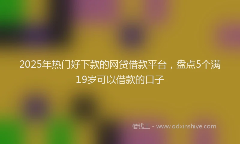 2025年热门好下款的网贷借款平台，盘点5个满19岁可以借款的口子
