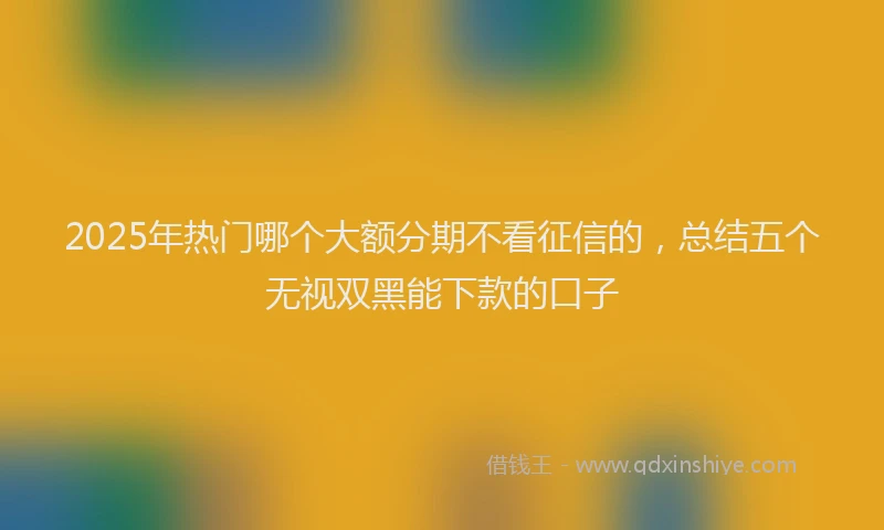 2025年热门哪个大额分期不看征信的，总结五个无视双黑能下款的口子