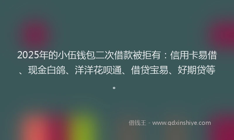 2025年的小伍钱包二次借款被拒有：信用卡易借、现金白鸽、洋洋花呗通、借贷宝易、好期贷等。