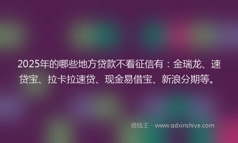 2025年的哪些地方贷款不看征信有：金瑞龙、速贷宝、拉卡拉速贷、现金易借宝、新浪分期等。
