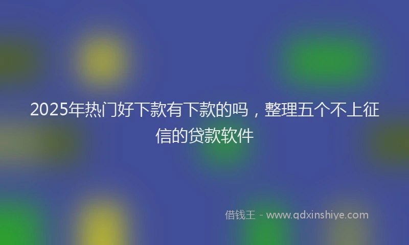2025年热门好下款有下款的吗，整理五个不上征信的贷款软件