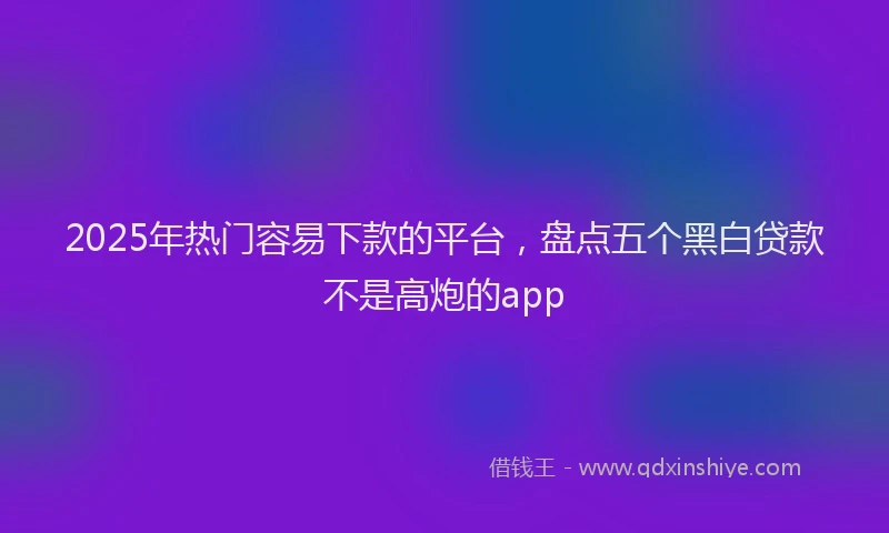 2025年热门容易下款的平台，盘点五个黑白贷款不是高炮的app