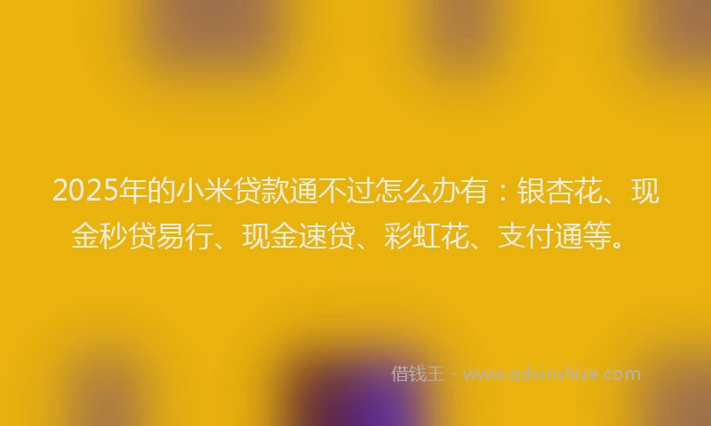 2025年的小米贷款通不过怎么办有:银杏花、现金秒贷易行、现金速贷、彩虹花、支付通等。
