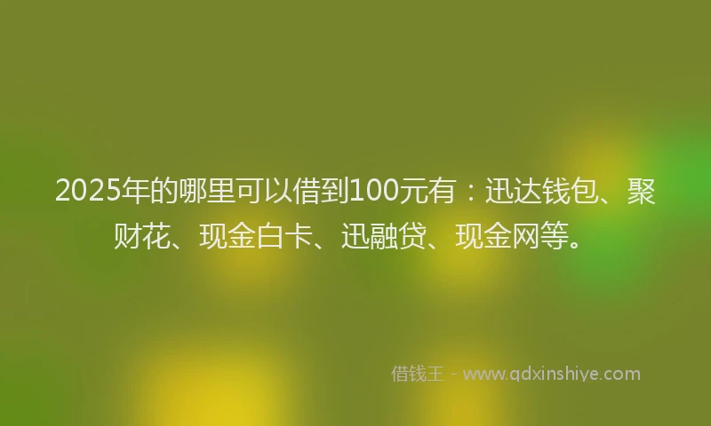 2025年的哪里可以借到100元有：迅达钱包、聚财花、现金白卡、迅融贷、现金网等。