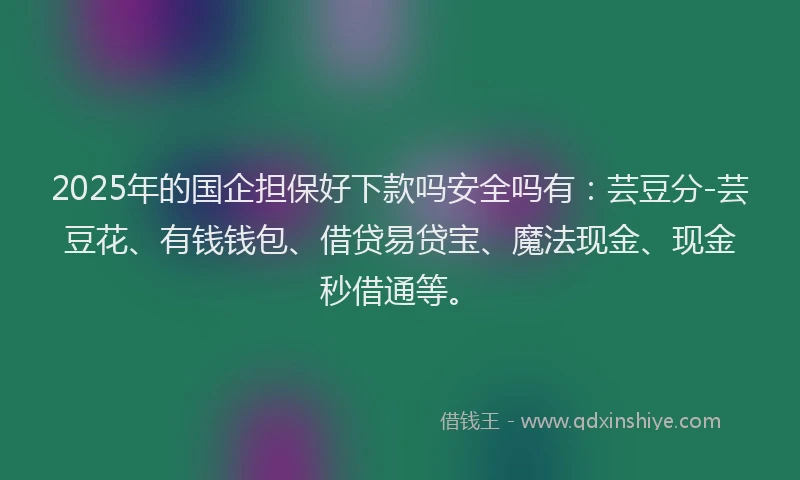 2025年的国企担保好下款吗安全吗有：芸豆分-芸豆花、有钱钱包、借贷易贷宝、魔法现金、现金秒借通等。