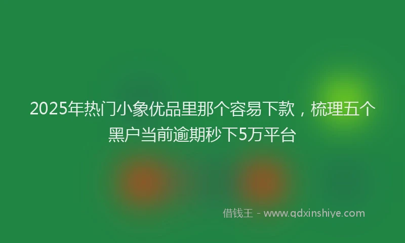 2025年热门小象优品里那个容易下款,梳理五个黑户当前逾期秒下5万平台