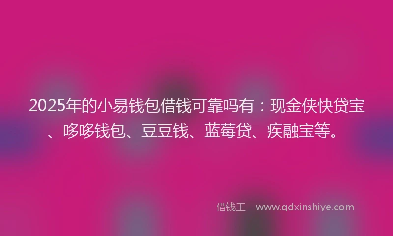 2025年的小易钱包借钱可靠吗有：现金侠快贷宝、哆哆钱包、豆豆钱、蓝莓贷、疾融宝等。