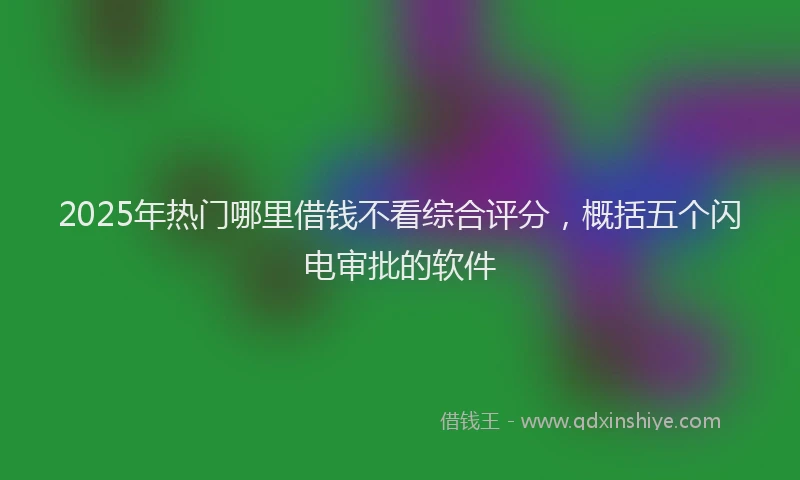 2025年热门哪里借钱不看综合评分，概括五个闪电审批的软件