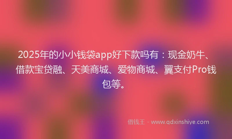 2025年的小小钱袋app好下款吗有：现金奶牛、借款宝贷融、天美商城、爱物商城、翼支付Pro钱包等。