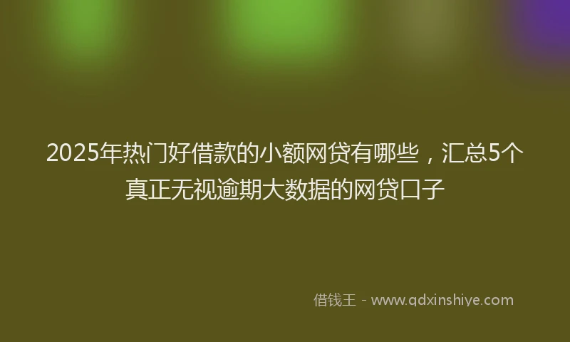 2025年热门好借款的小额网贷有哪些，汇总5个真正无视逾期大数据的网贷口子