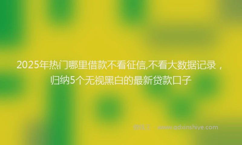 2025年热门哪里借款不看征信,不看大数据记录，归纳5个无视黑白的最新贷款口子