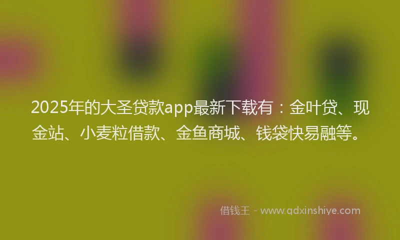 2025年的大圣贷款app最新下载有：金叶贷、现金站、小麦粒借款、金鱼商城、钱袋快易融等。