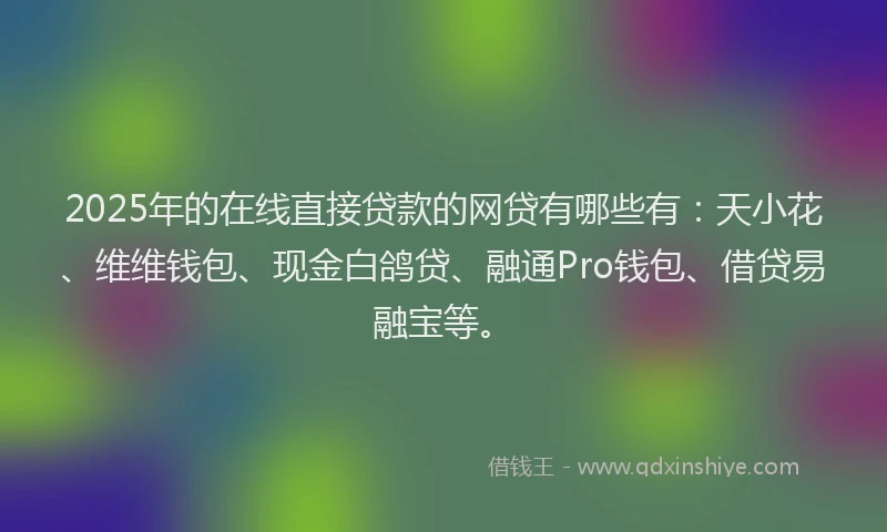 2025年的在线直接贷款的网贷有哪些有：天小花、维维钱包、现金白鸽贷、融通Pro钱包、借贷易融宝等。